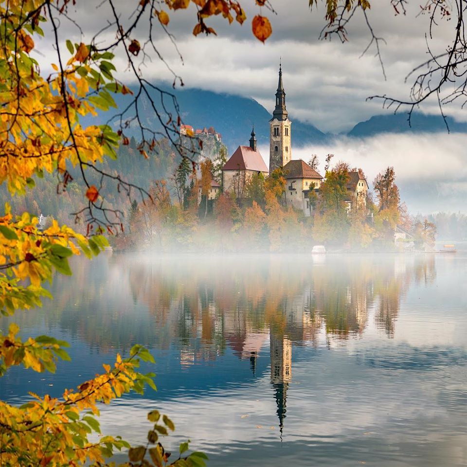 Bled, Slovenia 💙💙💙💙
#slovenia #ljubljana #slovenija #igslovenia #ifeelslovenia #ig #nature #travel #visitslovenia #europe #photography #maribor #croatia #kampadanes #srbija #feelslovenia #mountains #balkan #serbia #igljubljana #hrvatska #love #naturephotography #montenegro