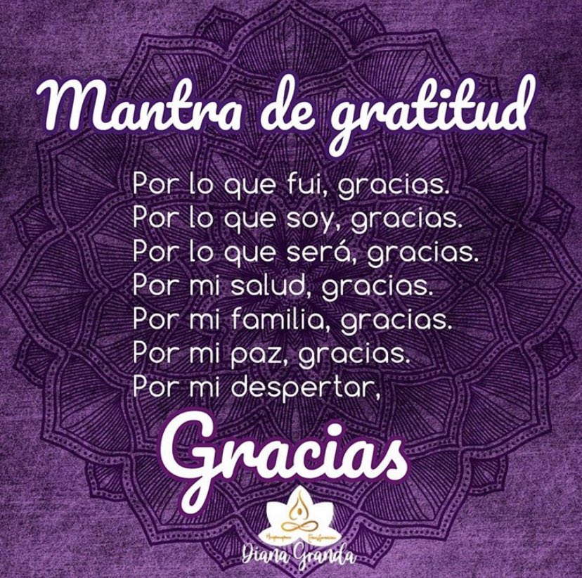 LynnAguirre's tweet photo. Gracias 🙏🏿 https://t.co/8Wv8evMYdW
