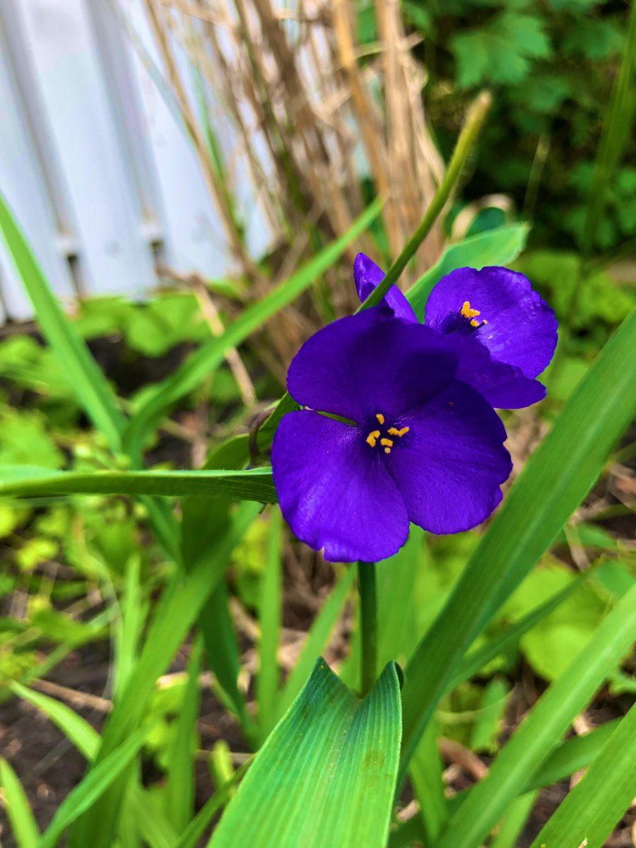 1in5kidz tweet media