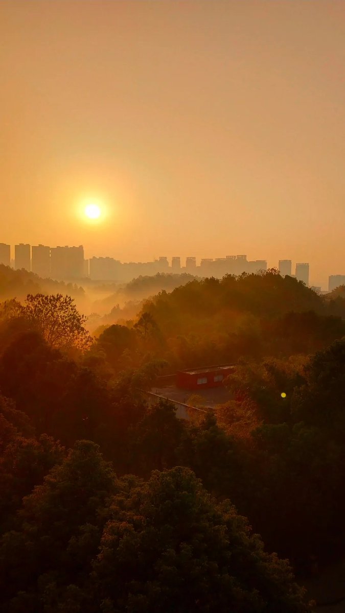 Changsha University 🇻 tweet media