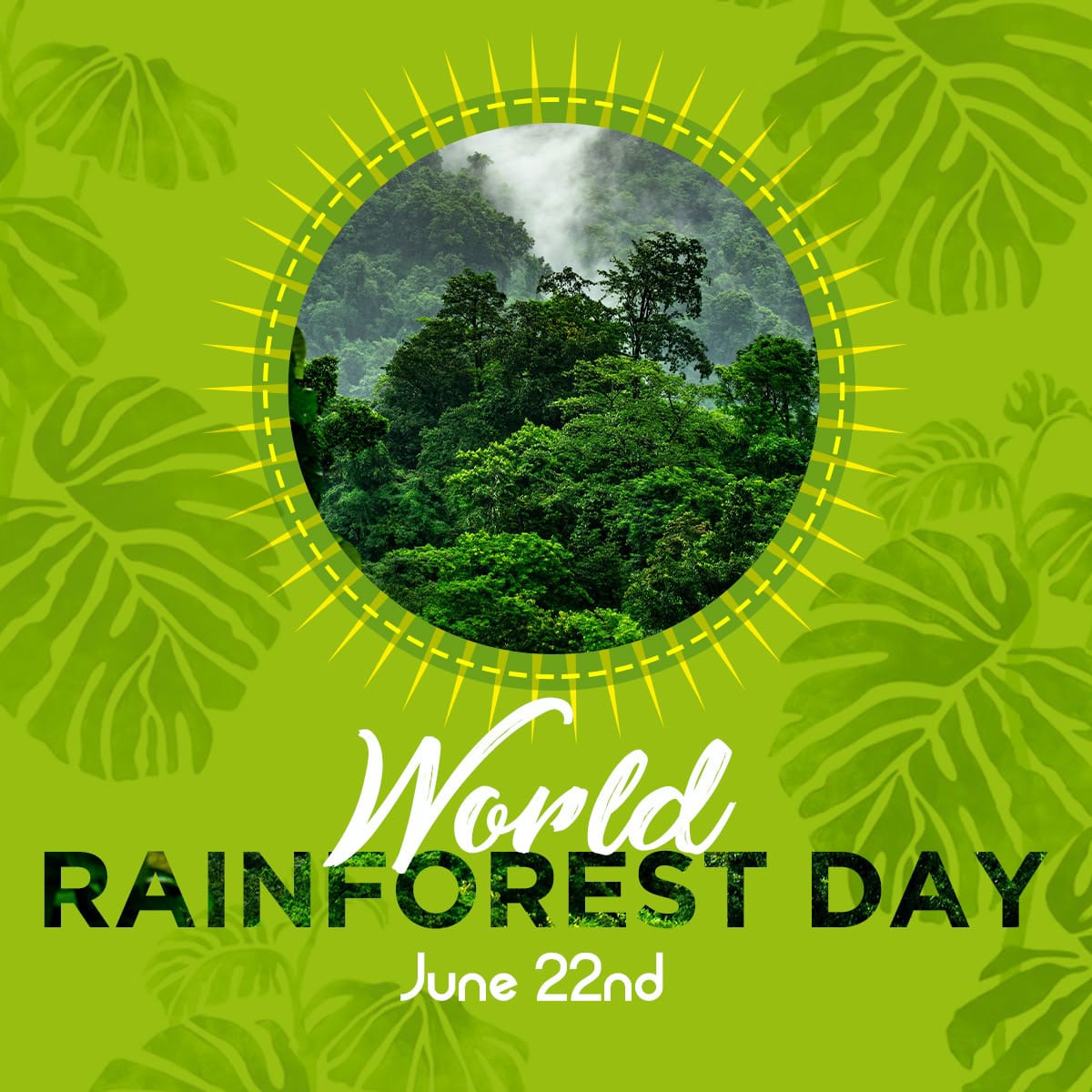 Rainforests are vital to all life on Earth. They absorb carbon dioxide and produce oxygen, help stabilize the climate, are home to an incredible variety of plants and wildlife. 
#worldrainforestday
#ProtectTheRainforest 
#TeamGGEH