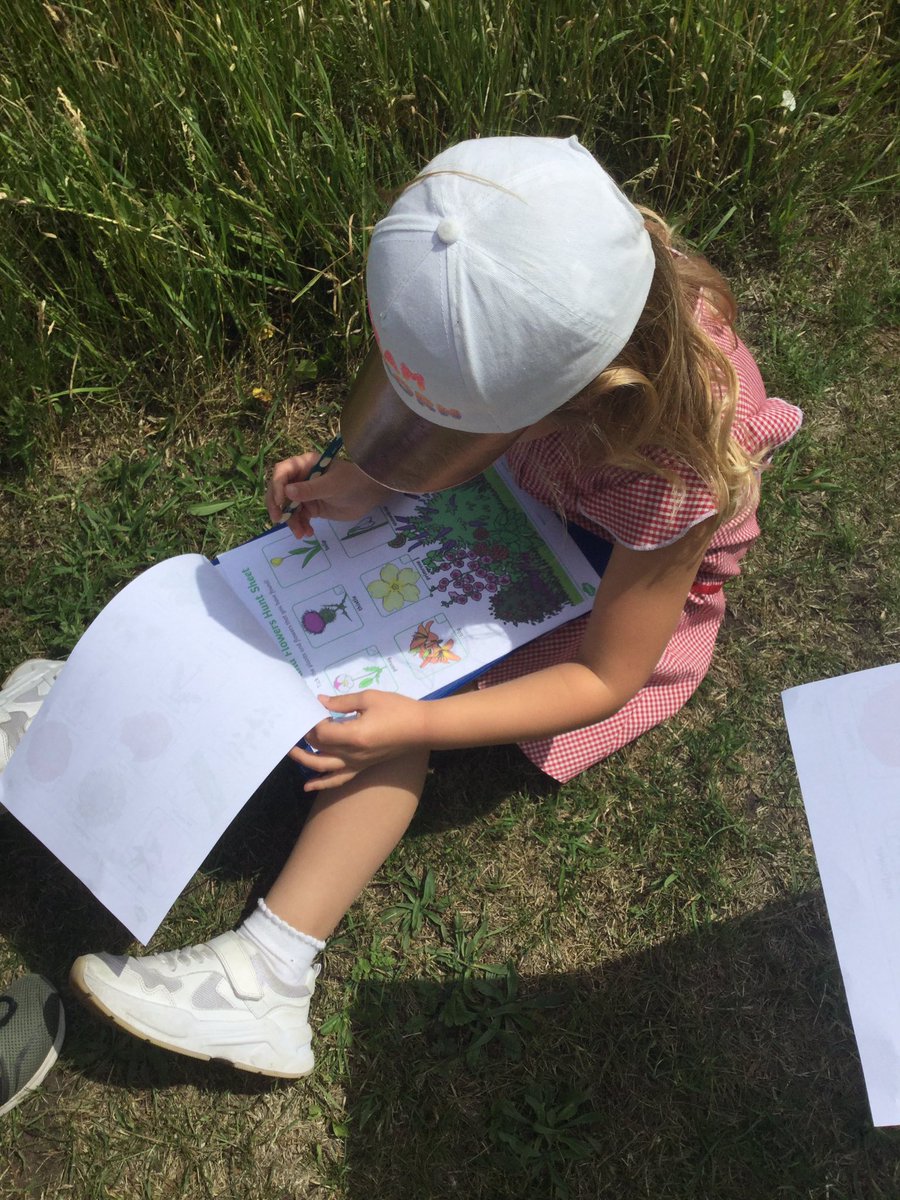 HTAClassWebster's tweet photo. This afternoon we went looking for wild and garden flowers around our school grounds! 🌼🌸🌻 #HTAScience https://t.co/anMg623NEq
