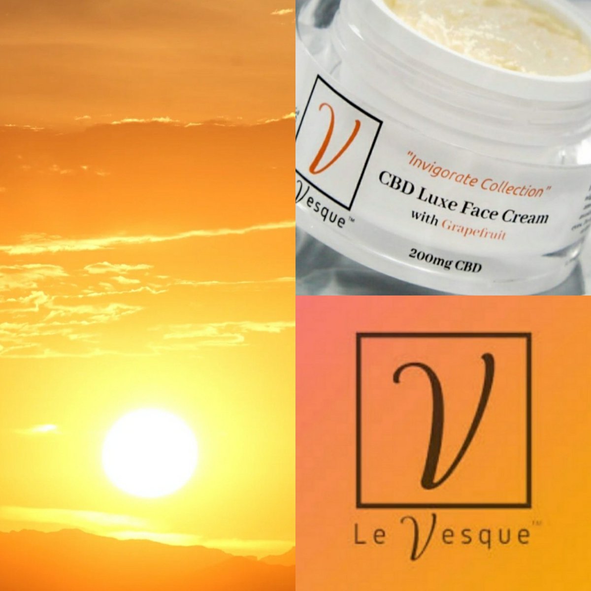 Le Vesque Luxe tweet media