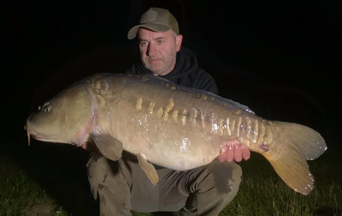 CarbonBaits's tweet photo. Darren Akehurst managed to land one of the A team but unfortunately down in weight at 28lb 4oz a fish known as baby!!! Caught over dark mix &amp; chilli hemp.
.
.
#carbonbaits #hasslefree #particle #hemp #maize #tigers #minimix #partimix #hookbaits #carpy #angling #carpfishing #carp https://t.co/PS9rL4HODP