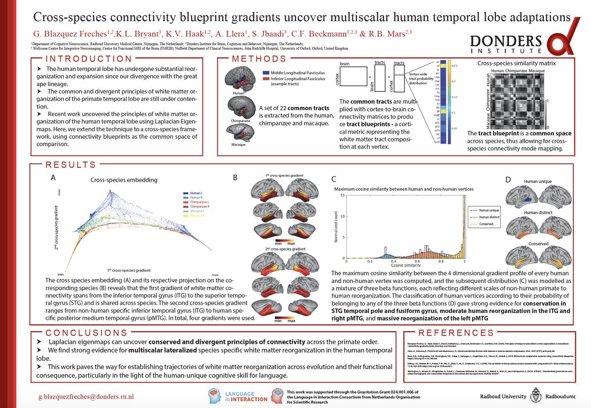 GBFreches's tweet photo. Do you want to discuss how the temporal lobe connectome has changed throughout evolution? If so, visit our poster (nr 1787)! #OHBM2020Posters #OHBM2020 https://t.co/wdgnGcYd91