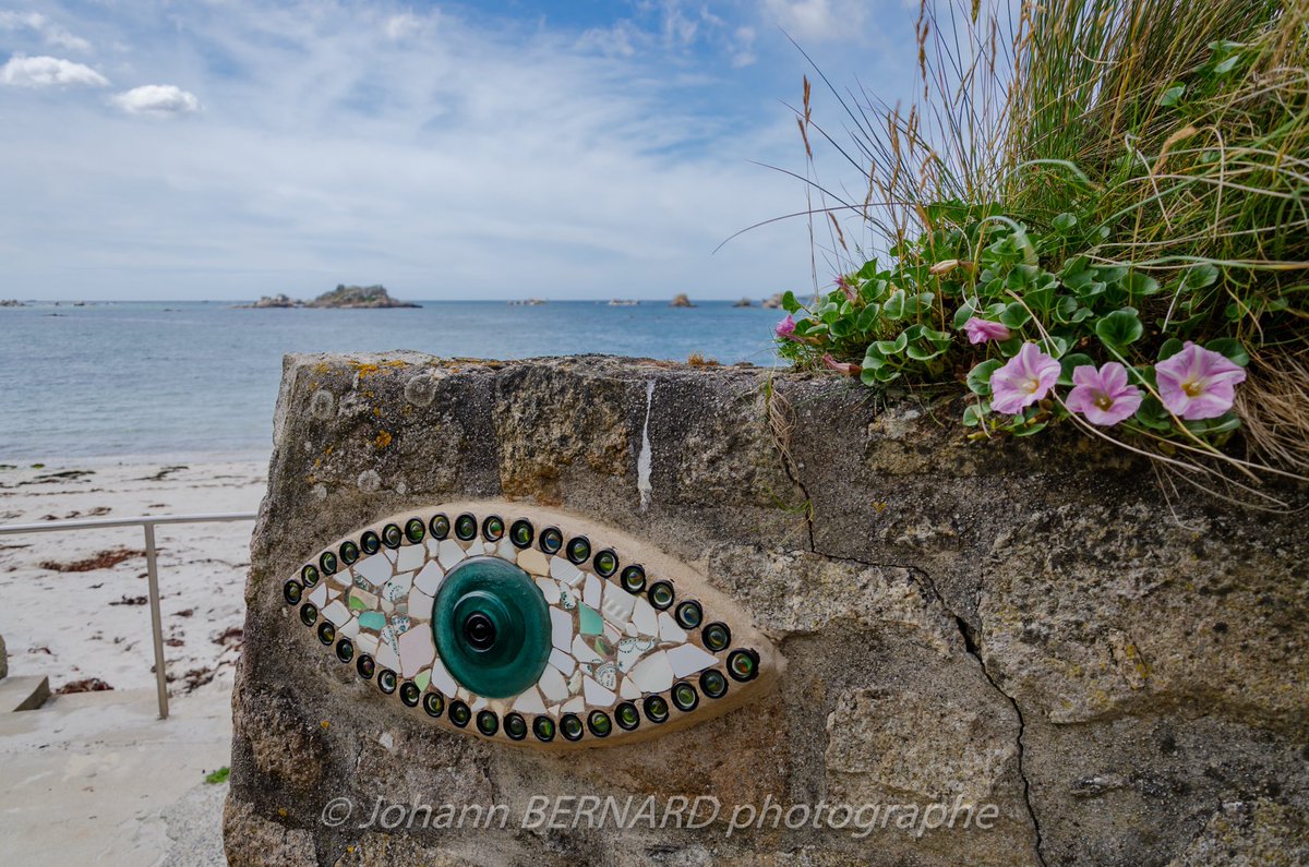 bernard29440's tweet photo. Je vous ai à l’œil!!! #roscoff 
L'artiste #carantécois Pierre Chanteau s'est donné un an pour #sceller un œil en #mosaïque dans chacune des 113 communes #littorales et #insulaires du #Finistère. Un #hommage aux gens de #mer et un regard vers l'avenir. #MagnifiqueBretagne #bzh https://t.co/KQO6Nfu2pE