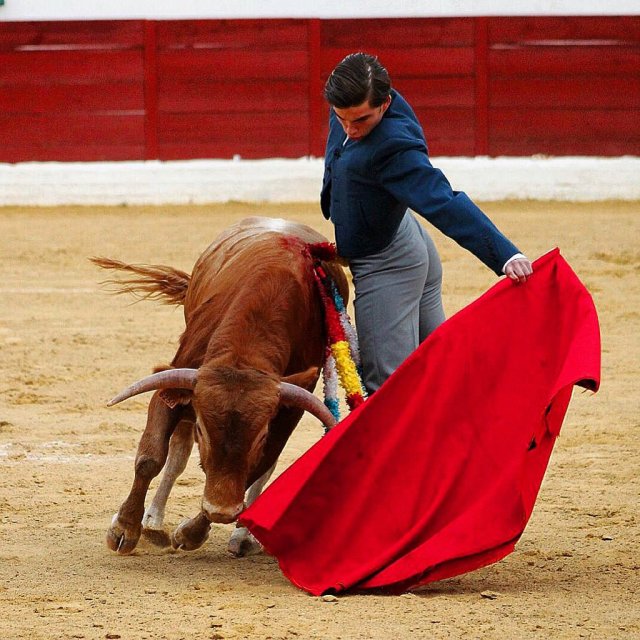 ElMuletazo's tweet photo. Víctor Acebo en el “VII Alfarero de plata” de Villaseca de la Sagra.
🔹 El novillero murciano de la escuela de Almería participará el 17 de julio en el tercer tentadero clasificatorio.
➡️ https://t.co/dtVzwUnA00 https://t.co/oFkd59lfBV