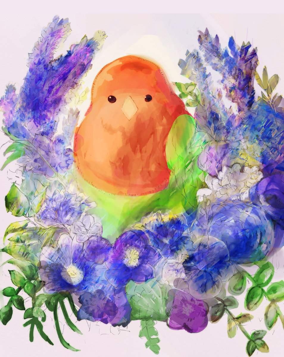 小鳥イラスト 小鳥イラスト