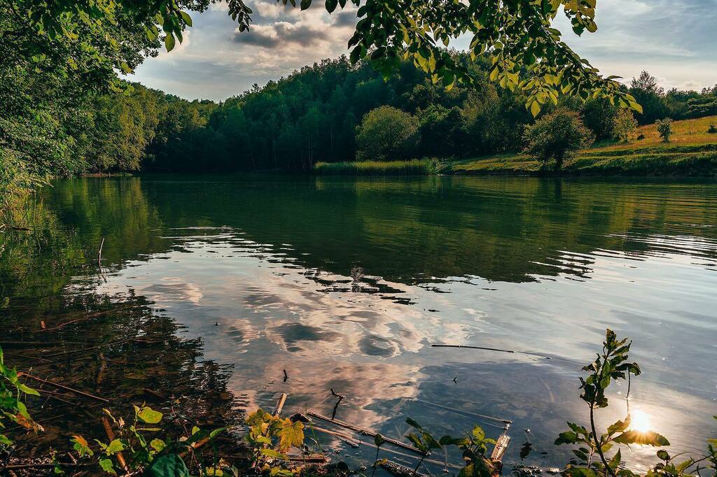 robertbagio's tweet photo. Libušínské jezírko. .
.
.

#naturephotography #nature #fotkyzceska #libusinskejezirko #beauty_of_czechia #sun #like4like #instagood #forest #priroda #fotimecesko #landscape #ceskakrajina #czechrepublic #czech #sonya7iii #alpharoamers #sonyalpha #rsa_nature #igerscz #mapy_cz … https://t.co/iEL5XpOSPO