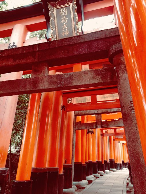 今日は伏見稲荷大社へ 見渡す限り だらけ 山頂まで歩いたら暑くて大変だった ぺけ のイラスト