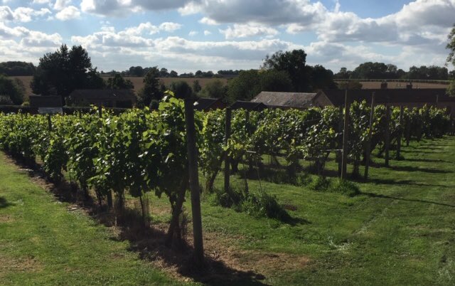 WineGB Midlands and North tweet media