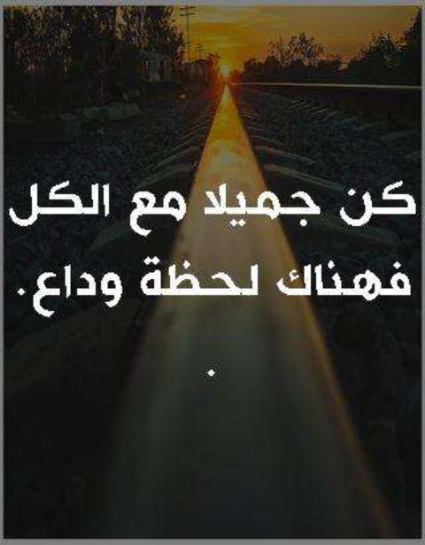🦋يّےـٱٱٱقَےـوِتُےـ🦋 (@jmnnu8odeomcsjg) on Twitter photo 