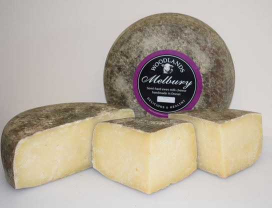 More awards! Just won 2 x Gold prizes in the prestigious Taste of the West competition for our already multi-award winning Melbury sheep milk cheese and sheep milk yoghurt.

If you want to sample our gorgeous cheese you can get it direct from our website -
woodlandsdairy.co.uk/product/sheeps…