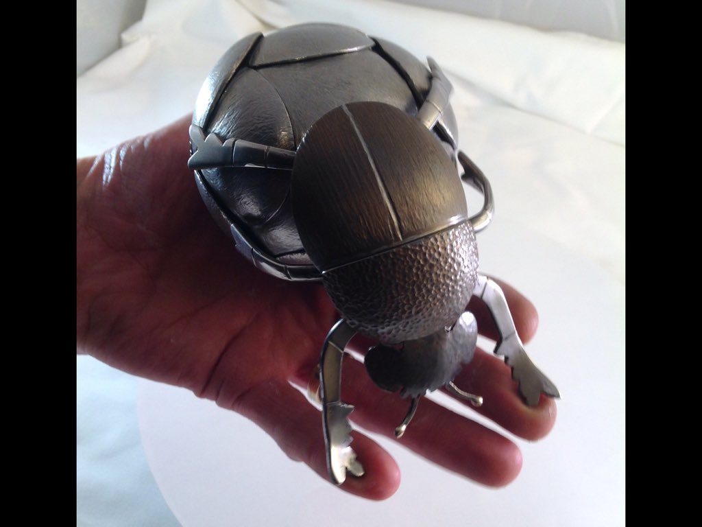 Quite a handful, #NationalInsectWeek  youtu.be/lFsfJswFqd8