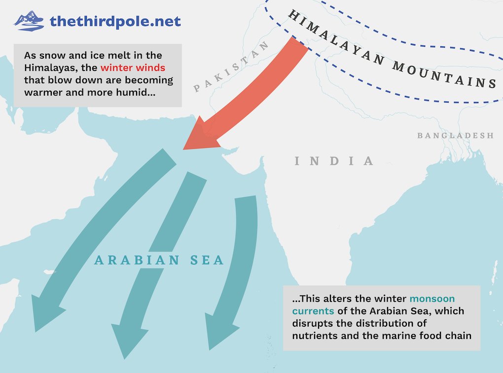 third_pole's tweet photo. Global warming is transforming the ecosystem of the Arabian Sea.

Scientists have linked snow melting in the Himalayas to the loss of important plankton more than 1,000 miles away, affecting fish populations and the coastal people that depend on them.
https://t.co/2v9Z1nIddi https://t.co/E6azRuh9MX