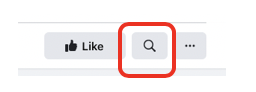 Facebook Pages also have a search option and it brings you to  http://facebook.com/page/IDnumberOfPage/search?=InsertKeywordOnly visible in the New Design! Searching for Posts of a Page can also be done in the Classic design using the search bar, category 'Posts' and the filters on the left side