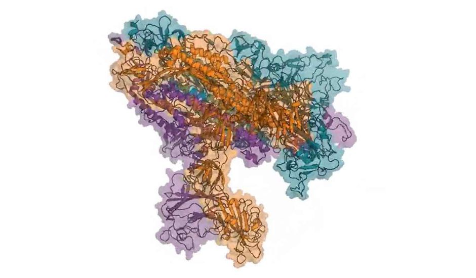 EuroJedi's tweet image. Thrilled to have @gregbowman coordinator of @foldingathome &amp;amp; member of the #JEDIcovid19Challenge Scientific Committtee share his insights June 23 at the #JEDI⚡️#MoonshotSymposium on #covid19

➡️all you always wanted to know about Cryptic Pockets 🔬!

#TheEuropeanDarpa #disruption