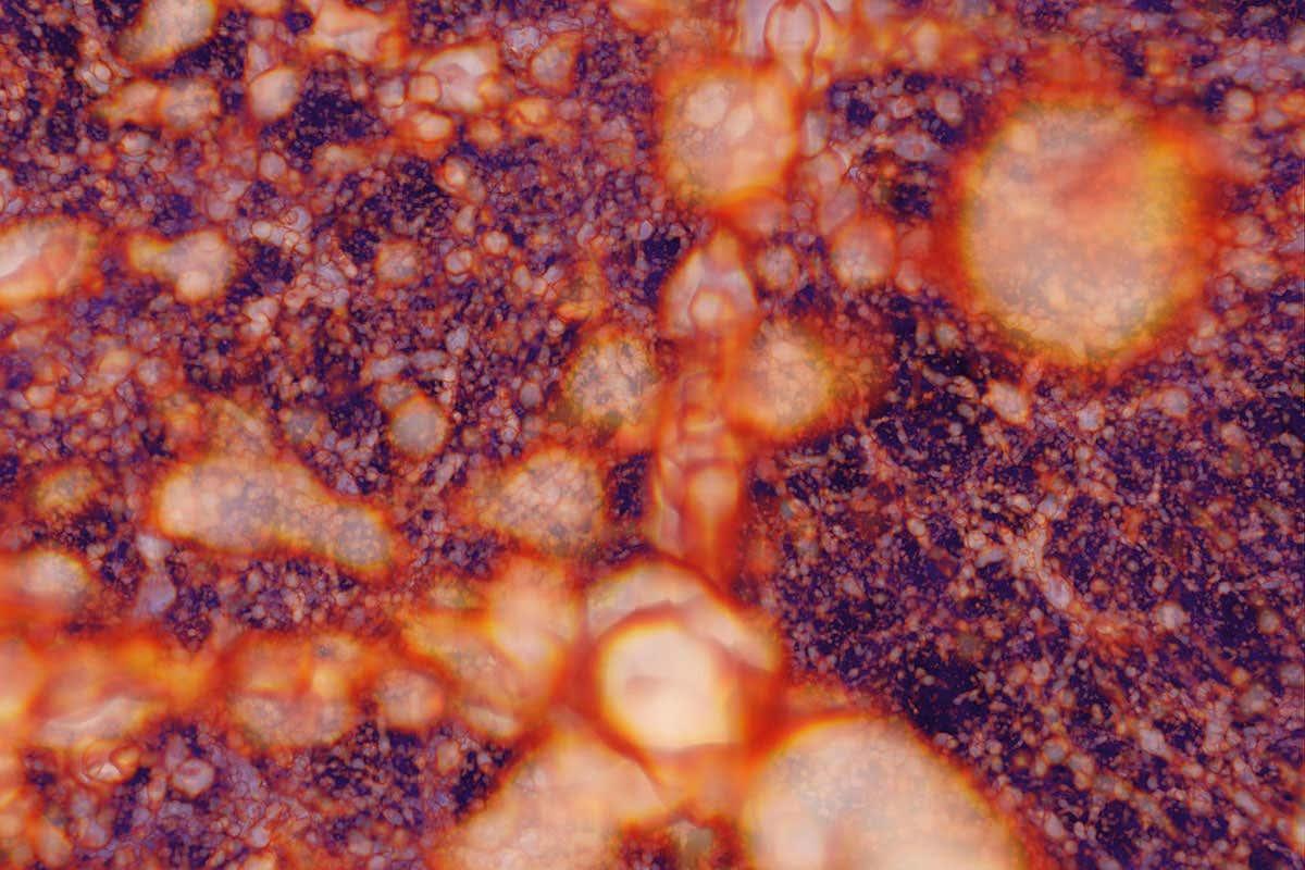 newscientist's tweet photo. The cosmic web that connects galaxies together may be spinning https://t.co/Jdx8XXoFyO https://t.co/zVbUQUiRJp