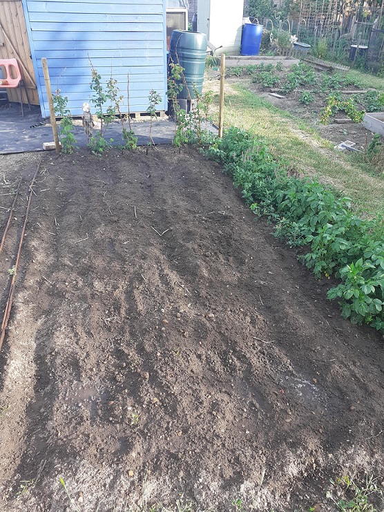 DCP Safety & Training tweet media