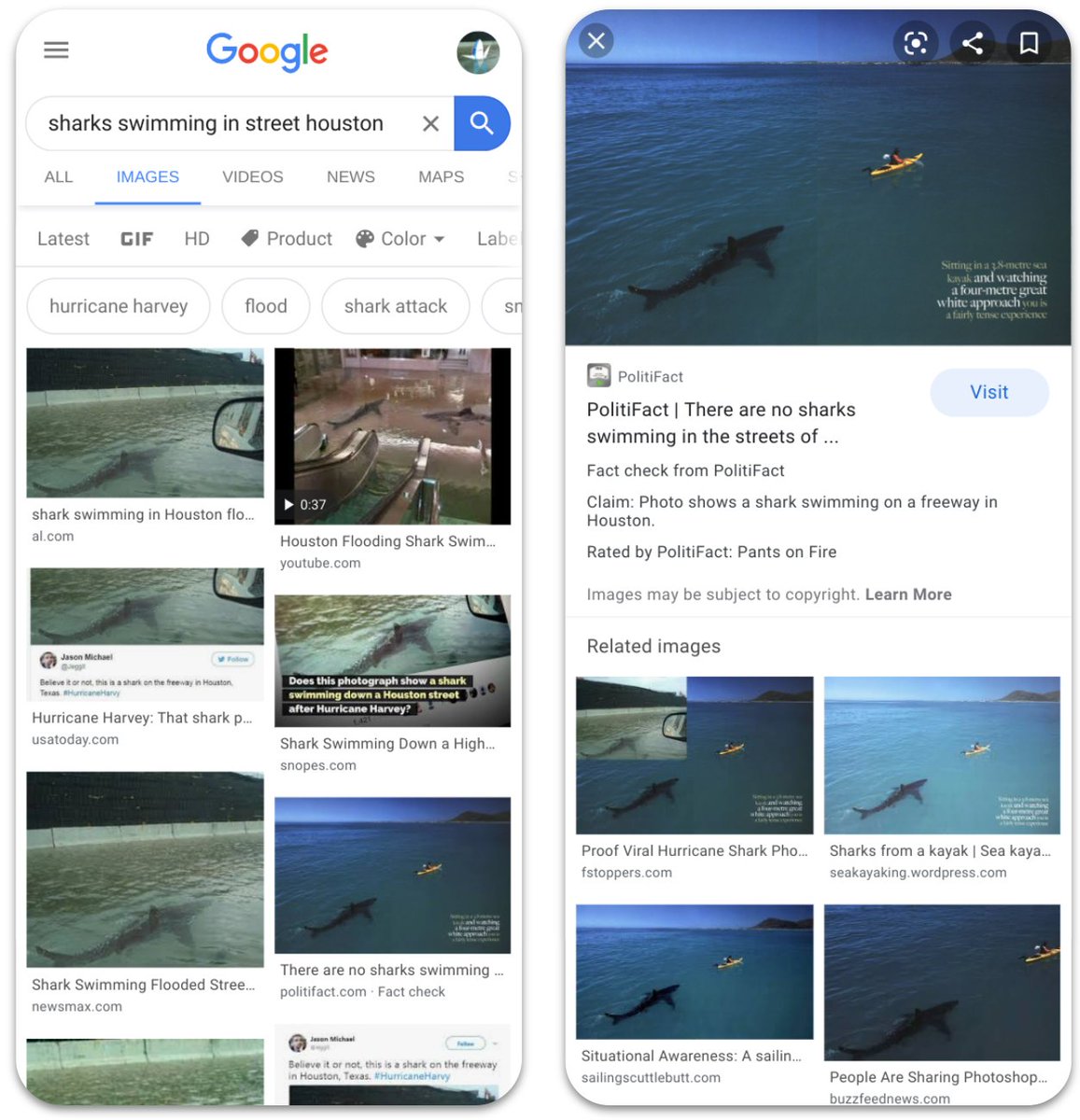 Just launched @  #GlobalFact7: fact checks in Google Images. Starting today, fact checks will show up with a small label and the Claim/Rating data in Google Images. Global roll-out should be complete within 48-72 hours.More at:  https://www.blog.google/products/search/bringing-fact-check-information-google-images