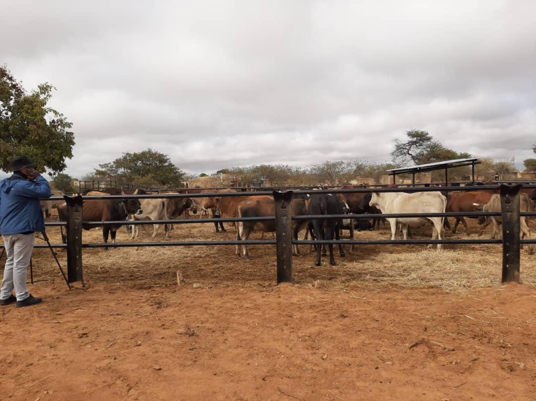 Zimbabwe Agricultural Society tweet media