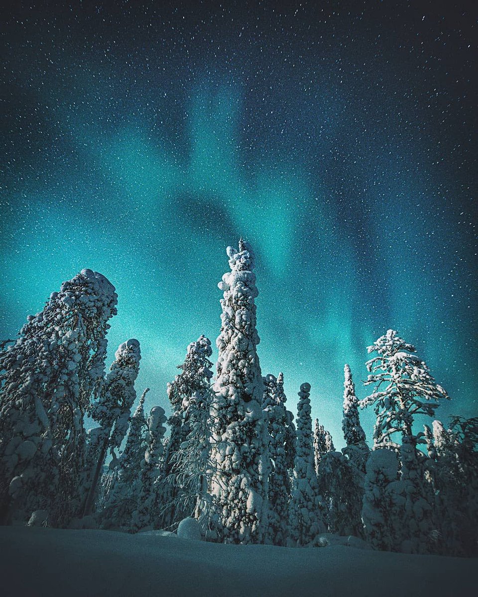 earthcurated's tweet photo. Lapland, Finland https://t.co/q02B8JcIxR