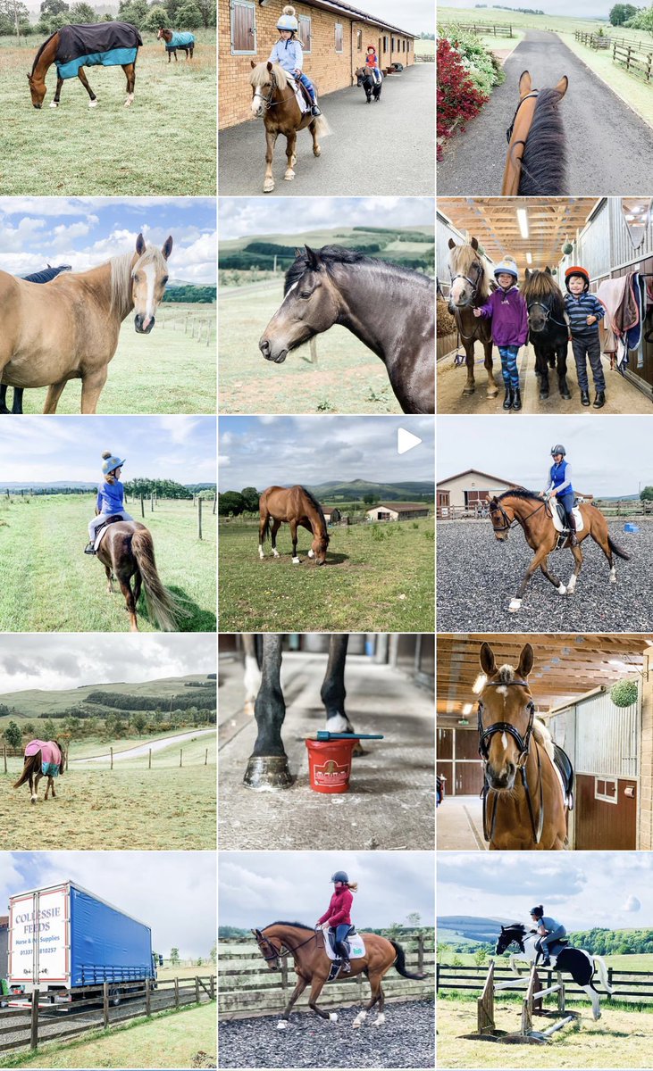KAEquestrian's tweet photo. Who’s on Instagram? We’d love to connect with you over there ... https://t.co/BDGXwpOXWq #equestrianlife #equestrianlifestyle #equestrians https://t.co/r0XkbNEhEJ