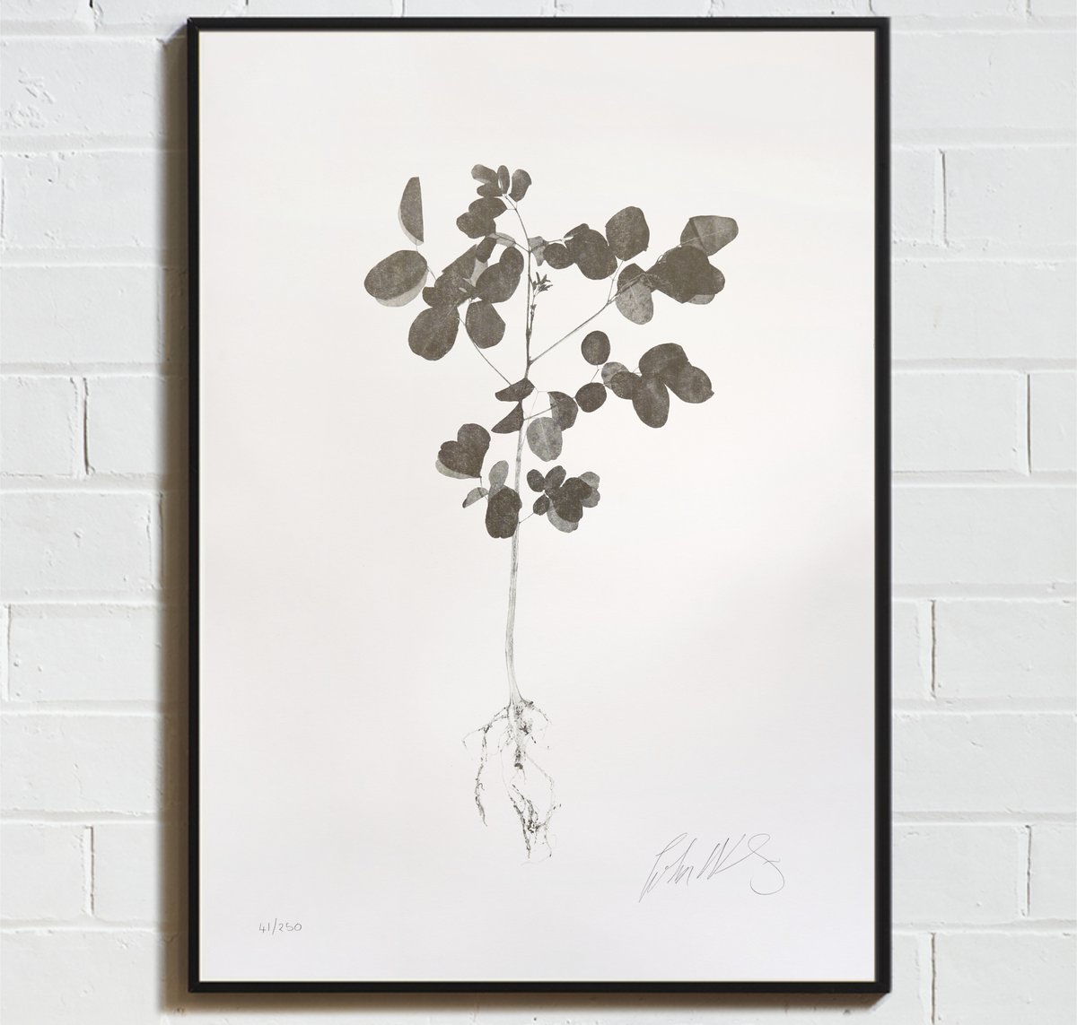 John Newling has limited prints available through the #artistsupportpledge with the funds going towards producing the 2nd edition of Dear Nature.
​
beameditions.uk/bookshop