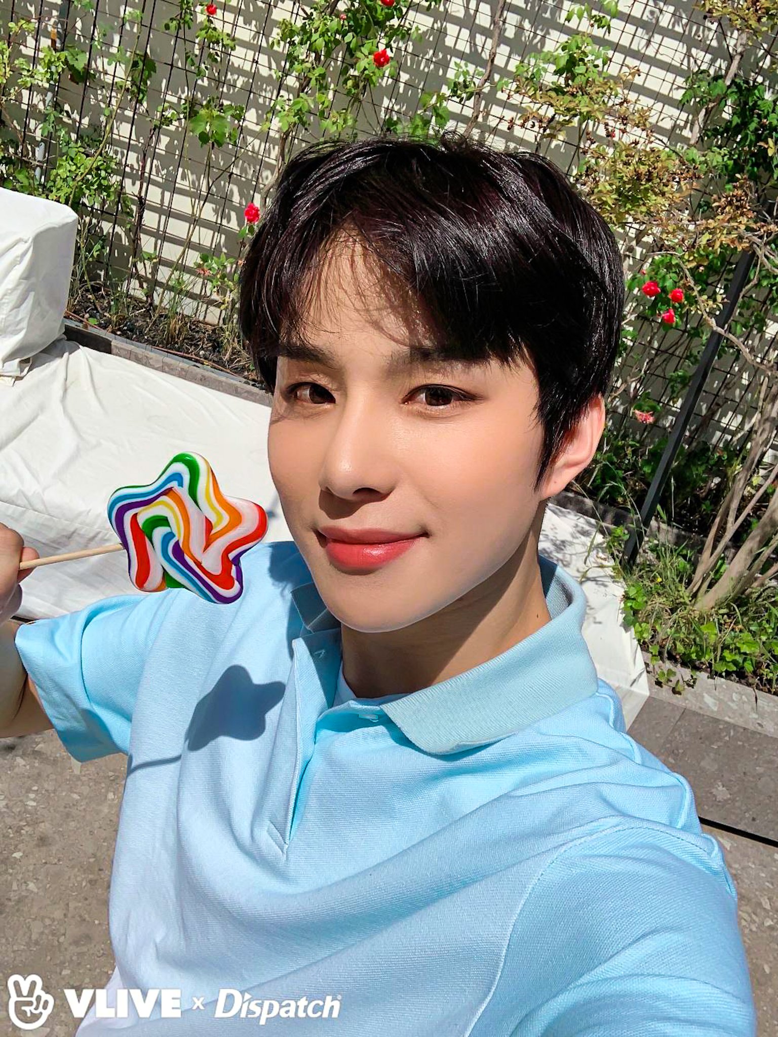 cha 🕊️ on Twitter "NCT 127 X VLIVE X DISPATCHNN( FILTER REMOVED )