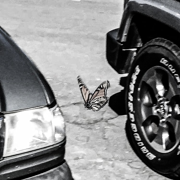 ˖  ➰ ˙  𓈒

               𝕷aiper  𓎭  jisung *
   𓈒 𝟬 ᚕ 𝟮 ˙ /  ˓ แลกฟอล x ตามทัก ˒

、ยพท ลฟตท