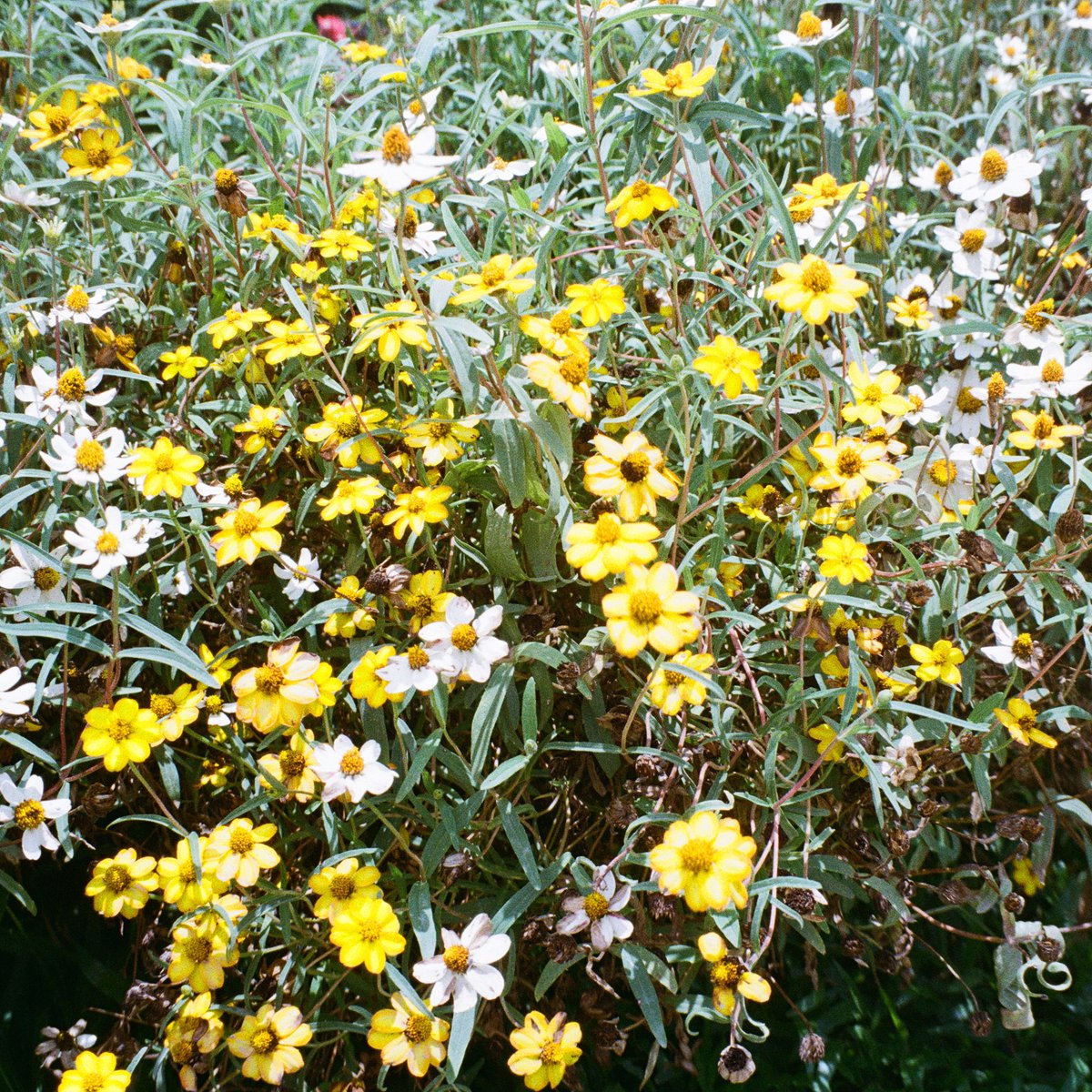 ⢀* 𓈒 🚡 ܻ ﾟ. 

                 ∗  ܻ  ˟ 𝑛𝑢𝑑𝑖𝑒 ✿ 19 𐄒 97 ˖  ݇  .
              ⠐ 𓈒 𝑗𝑎𝑒ℎ𝑦𝑢𝑛 𖠵 𝑓𝑜𝑙𝑙𝑜𝑤 ᚋ 𝑡𝑎𝑙𝑘 𓈒 ✧

𓈒 ∗ ܻ  ลฟตท 👷🏿‍♂️ 𓈒