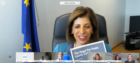 Act4AnimalsEU's tweet photo. 🙏🏼🇪🇺🐾Thank you @SKyriakidesEU for meeting with us today, and discussing #EUFarm2Fork & receiving our report on #IllegalPetTrade.
We look forward to working together & setting up safe pet trade rules. Citizens want it, MS want it, NGOs want it! https://t.co/DJvDJEDprS #Act4Pets https://t.co/V51bBZ2lVp