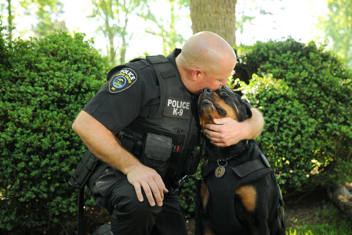 VIK9s's tweet photo. Partner and Protector! Officer Jeff Washam and his K9 partner, Kenzi of China Grove, NC. The bond between a handler and their partner is like no other. #k9partner #k9bond Photo courtesy of Leigh Walther Photography https://t.co/5nVW5J6Un6