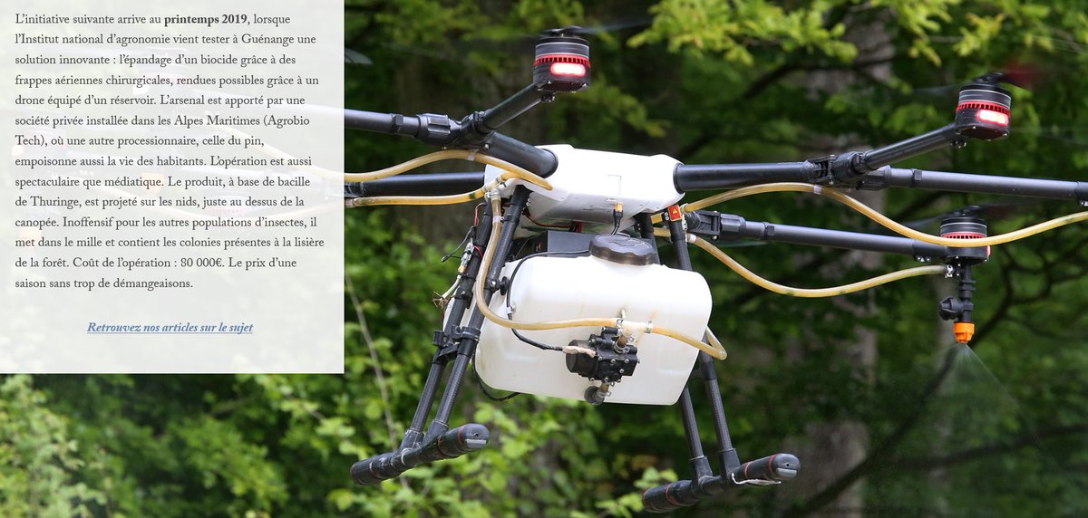 Avec la succession des printemps chauds secs et venteux les #chenillesprocessionnaires prolifèrent en #Lorraine - A lire cet article bien documenté et illustré par <a href="/lestrepublicain/">L'Est Républicain</a> <a href="/lerepu/">Le Républicain Lorrain</a> <a href="/VosgesMatin/">Vosges Matin</a> - spark.adobe.com/page/VxgvBOWCB…