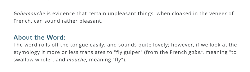 110. 'Gobemouche': a credulous person; especially: one who believes everything he or she hears https://www.merriam-webster.com/words-at-play/charming-words-for-nasty-people/gobemouche