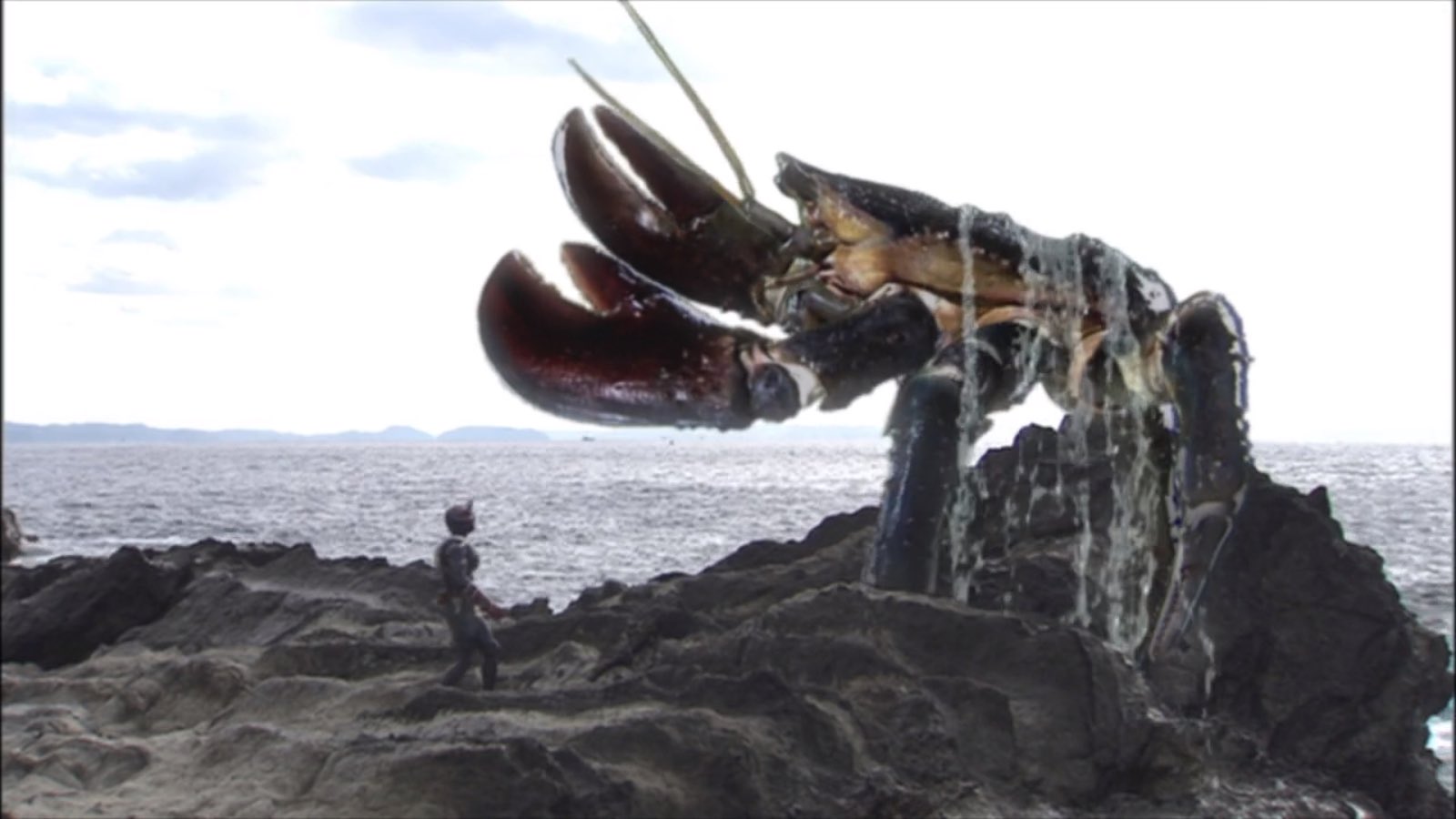 響く鬼の里 今日は かにの日 だそうです 仮面ライダー響鬼 の劇中では巨大な魔化魍バケガニが多数出現し 響鬼の敵の代名詞と呼ぶに相応しい存在ですね あまりにバケガニのバリエーションを出しすぎたせいで