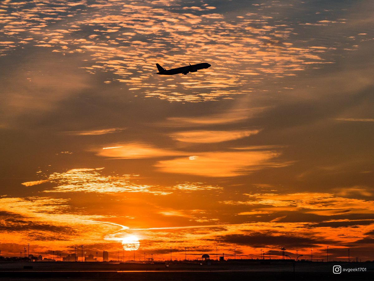 DFWAirport's tweet photo. ๐ซ Wheels up to a new week. #SummerAtDFW https://t.co/OK88rHHwd2