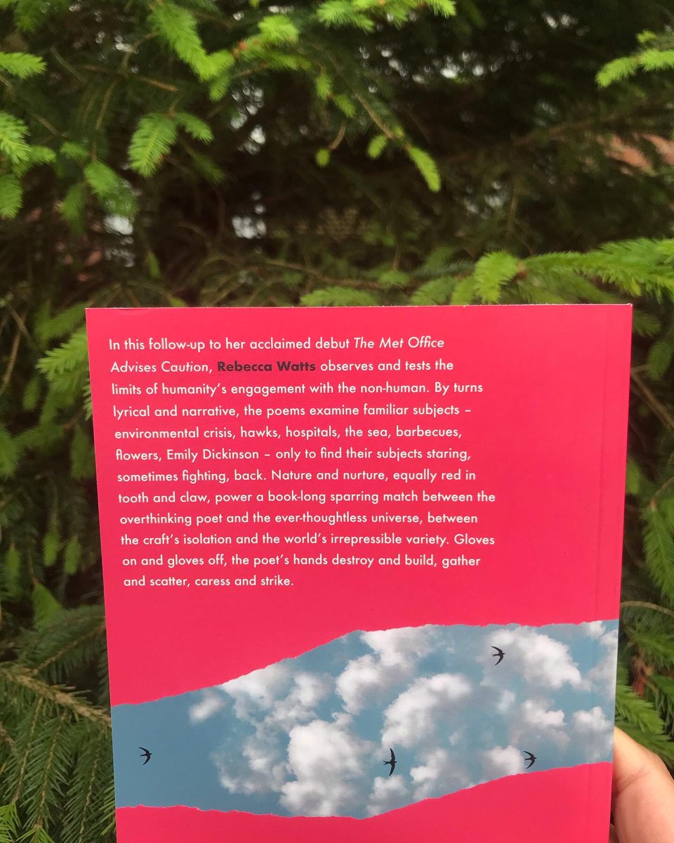This month we're publishing Rebecca Watts' dazzling collection Red Gloves! 🌹

carcanet.co.uk/cgi-bin/indexe…