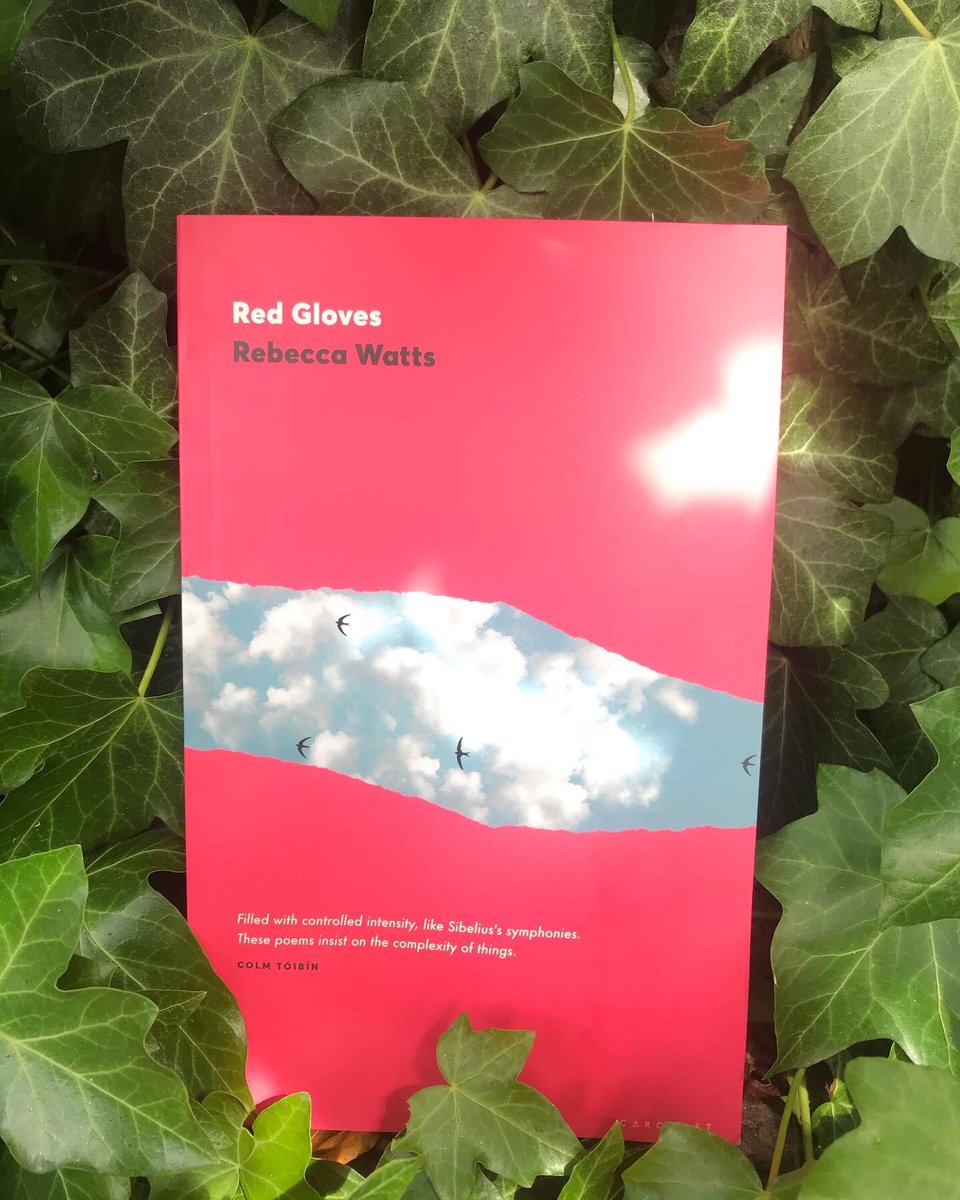 Carcanet's tweet photo. This month we're publishing Rebecca Watts' dazzling collection Red Gloves! 🌹

https://t.co/AI6kfHGOZW https://t.co/z6Uxa2sYGp