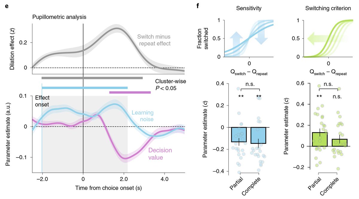 Their main finding is very consistent with our observations during reward-guided learning, where phasic pupil dilation predicts more switches - i.e., less biased choices in a bandit task where subjects repeat their previous choice on ~80% of trials. (2/9)  https://doi.org/10.1038/s41593-019-0518-9