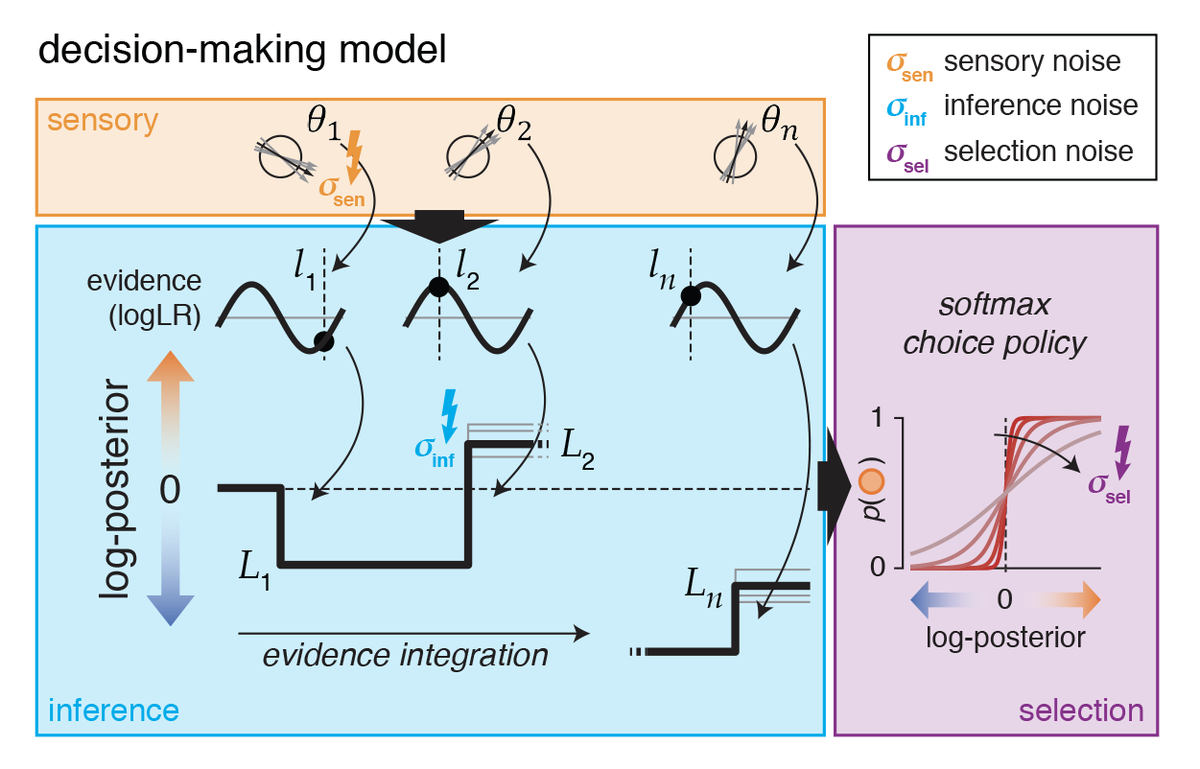 Although our definition of computation noise is more inclusive than the extreme definition, it is still different from output/policy noise (e.g., softmax) and from input/sensory noise. By different, I mean 1. different statistical signatures that can be fitted to behavior, (8/9)
