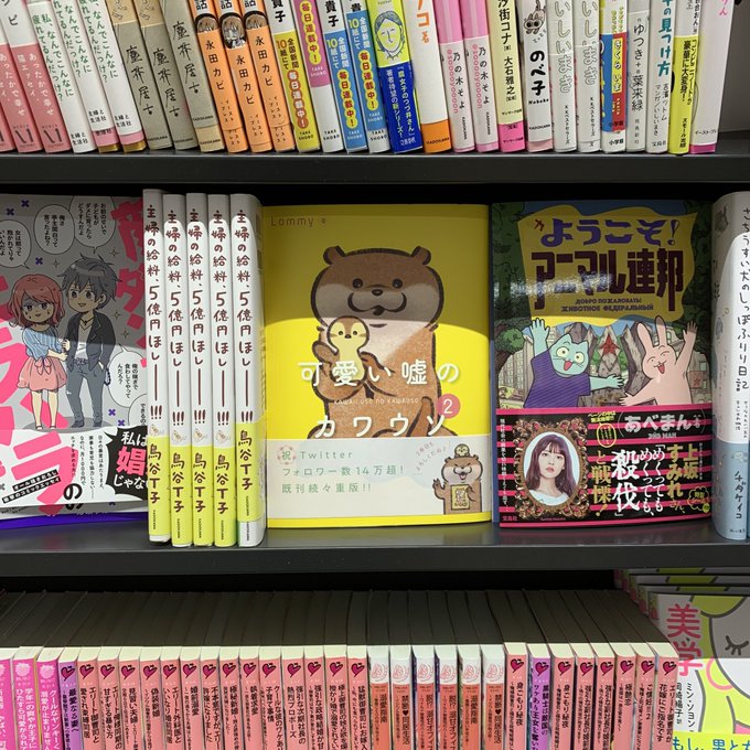 本屋さん2軒見て、どっちも平置きで嬉しかった ('ω`*)#可愛い嘘のカワウソ 