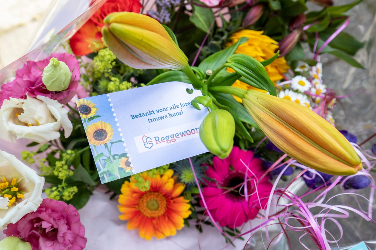 reggewoon's tweet image. Reggewoon verrast deze week 18 huurders die 50 jaar of langer in dezelfde woning wonen met een bos bloemen. Jaarlijks nodigt Reggewoon huurders uit die 50 jaar in dezelfde woning wonen. Lees meer op: reggewoon.nl/reggewoon/nieu…