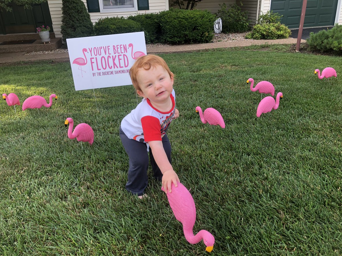 Athletics_DHS's tweet photo. The boys think this is the best morning ever! Thanks, @dhsDiamondline!
#WeGotFlocked https://t.co/Ow5NU4fhkL