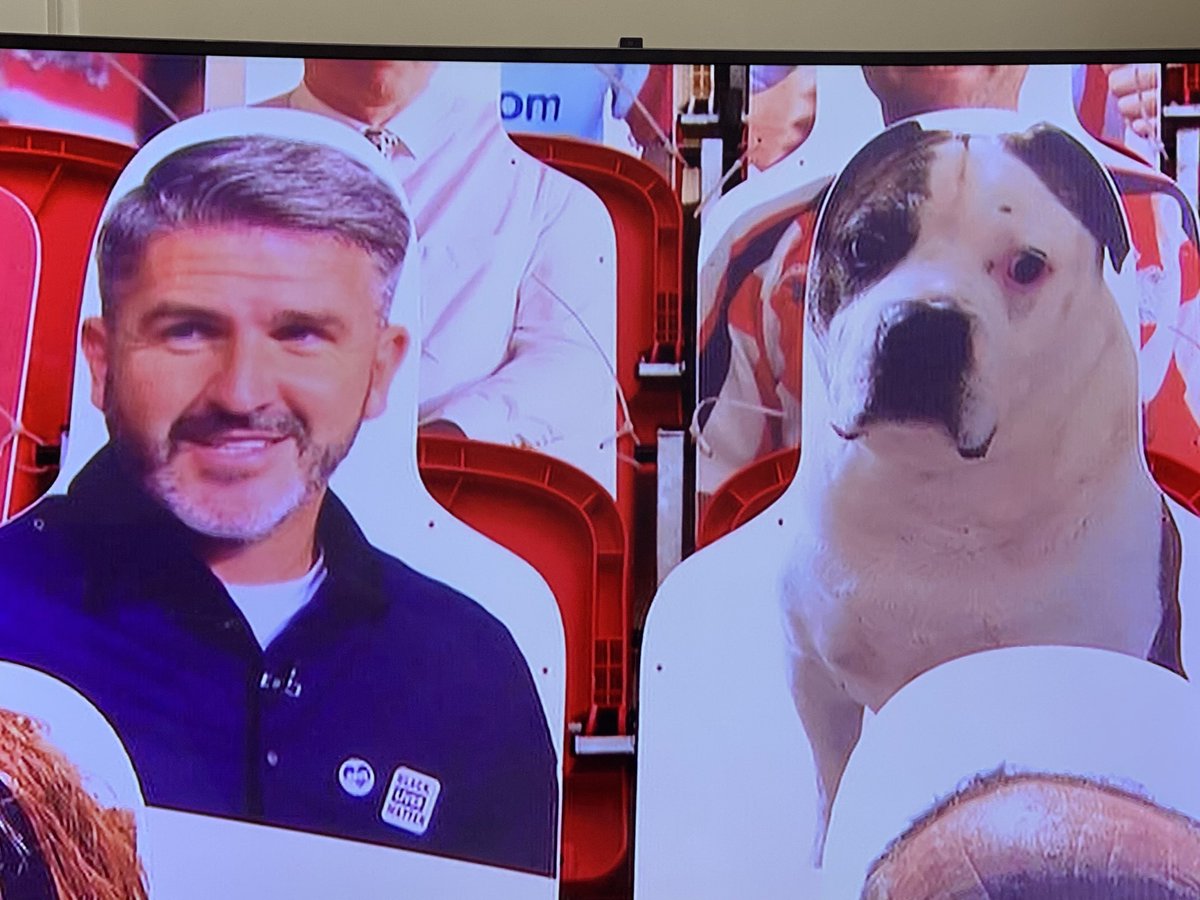 Andy Davies tweet media