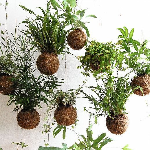 La Semaine pour la Qualité de Vie au Travail vient de se terminer !
Le concept ? Améliorer les conditions de travail et préserver la santé des salariés ! Une semaine qui prend tout son sens dans le contexte actuel 🌿
Participez en toute sécurité à nos ateliers kokedama 🌱