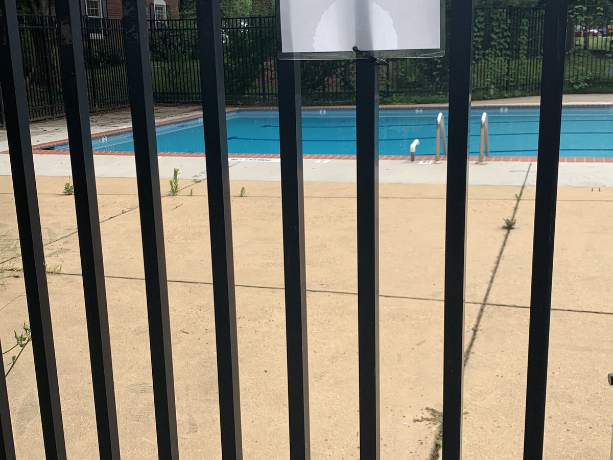 Post -apocalypse view of nature reabsorbing a community pool