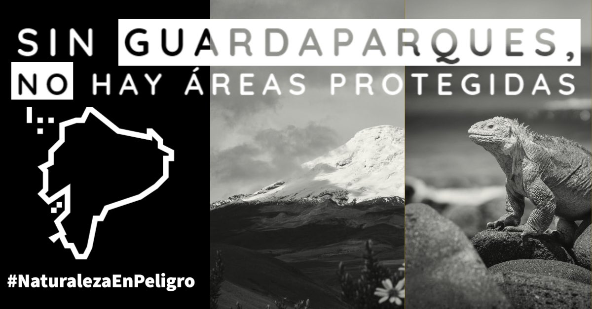 EcGuardaparques's tweet image. Las Áreas Protegidas durante en el año 2019 recibieron 1.804.198 visitantes, de los cuales 1.448.849 son nacionales y 355.349 son extranjeros, cifras significativas, que ponderan el potencial turístico que se ha desarrollado por el equipo de Guardaparques de las diferentes áreas.