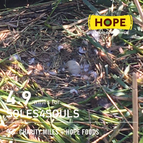 4.9 <a href="/CharityMiles/">Charity Miles</a> for <a href="/soles4souls/">Soles4Souls</a>. Thx <a href="/HopeHummus/">Hope Foods</a> for sponsoring me! #SpreadHope