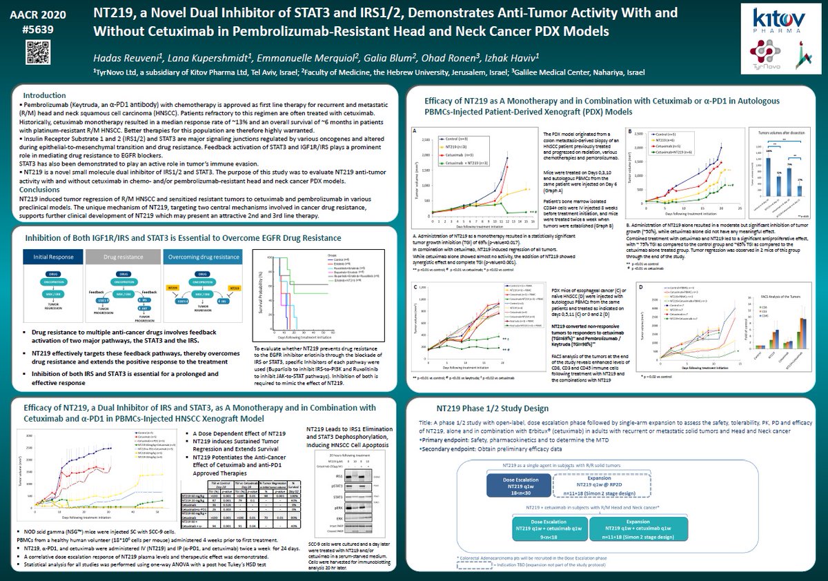 _PurpleBiotech's tweet image. Proud to present the anti-tumor activity of NT219 in pembrolizumab-resistant head and neck cancer PDX models at AACR 2020 virtual meeting II #Cancer #AACR2020 #keytdura #oncology #headandneckcancer